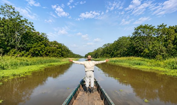 Amazon river during the Full Day Amazon Highlights tour in the Amazon rainforest near Iquitos, Peru